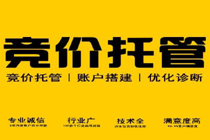 成功案例剖析：SEM代运营公司助力企业营销